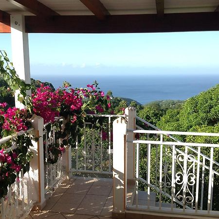 Villa Des Iles Basse Terre Bagian luar foto