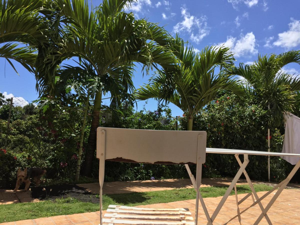 Villa Des Iles Basse Terre Bagian luar foto