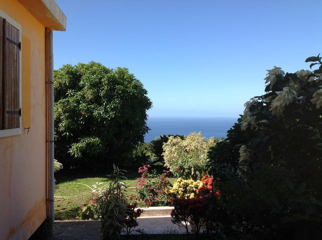Villa Des Iles Basse Terre Bagian luar foto