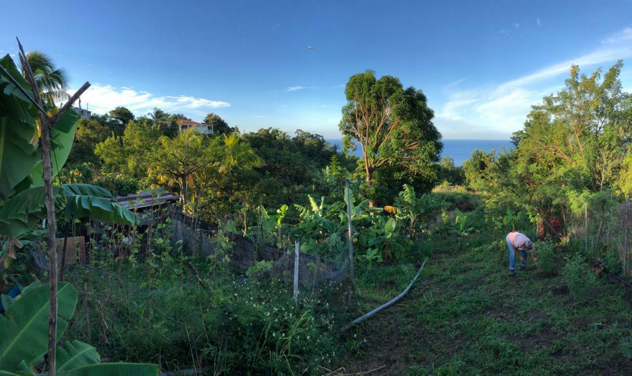 Villa Des Iles Basse Terre Bagian luar foto